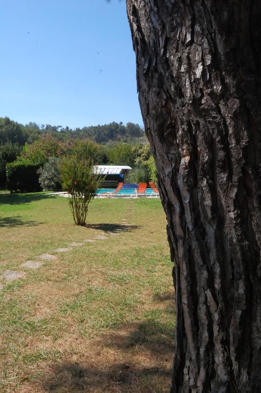 Casa Pilar Vila Capannori Exterior foto
