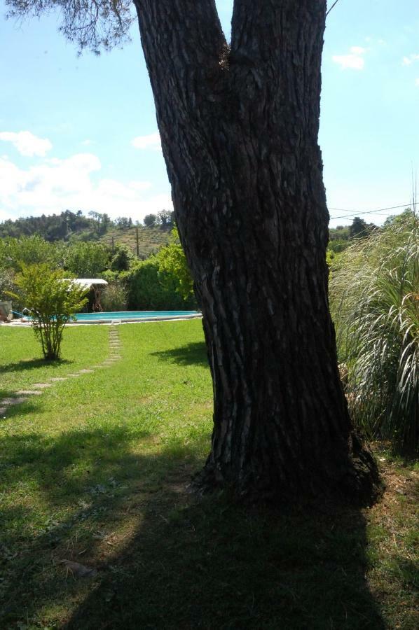 Casa Pilar Vila Capannori Exterior foto